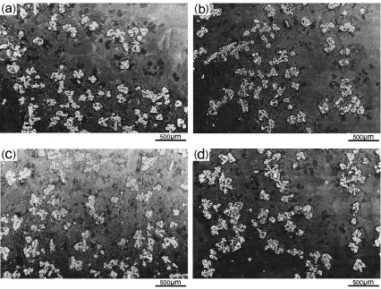 Fig. 6Low magniﬁcation (a) and high magniﬁcation (b) SEM images of the hypereutectic Mg-Si alloy without application alternatingcurrent.