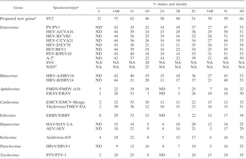 TABLE 1. Amino acid sequence relationships between PEV-8 and the other picornavirus species
