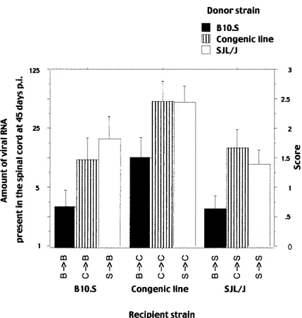 TABLE 2. Degree of chimerism in the spleen at8 weeks postreconstitutiona