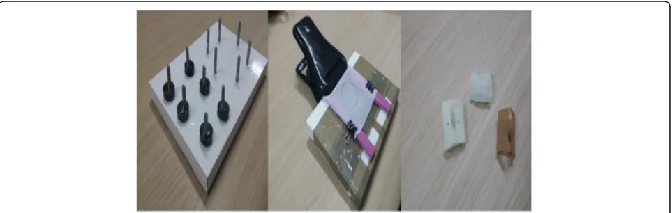 Fig. 2 Images shown in real time onto the screen of the computerand the wall screen