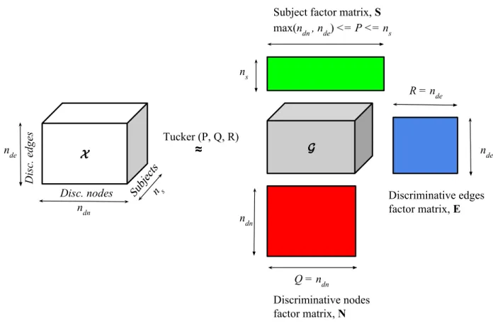 Figure 4.5: Tucker decomposition of the subjects-discriminative nodes-discriminative edges-based tensor.