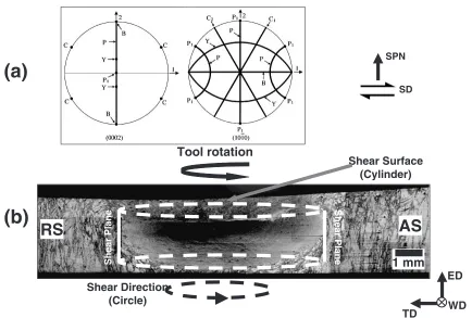 Table 2Main ideal orientations in simple shear deformation of HCPmetals.16Þ
