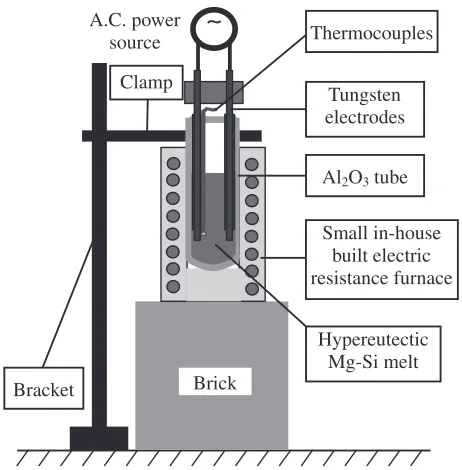 Fig. 1Schematic view of the experimental apparatus.