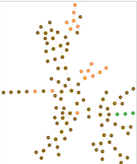 Fig. 4 The tree inferred for the largest connected component found with k = 52 for the C