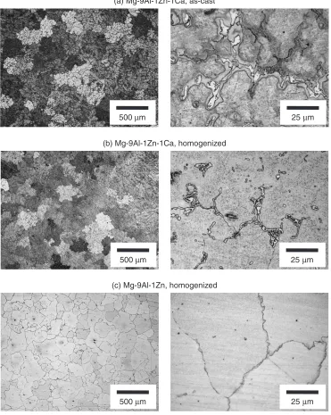 Fig. 2Microstructures of (a) as-cast Mg-9Al-1Zn-1Ca, (b) homogenized Mg-9Al-1Zn-1Ca and (c) homogenized Mg-9Al-1Zn alloys.Homogenization annealing was conducted at 683 K for 24 h.