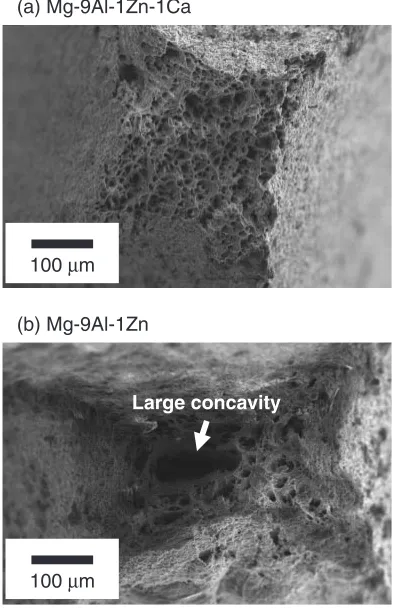 Fig. 10Scanning electron micrographs of side surfaces of tensile specimens of homogenized and hot-compressed (a) Mg-9Al-1Zn-1Caand (b) Mg-9Al-1Zn alloys, which were deformed to fracture at 573 K with initial strain rate of 0.01 s�1.