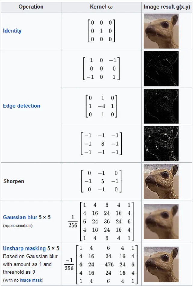 Figure 2.3 Effects of different filter kernels. [33]