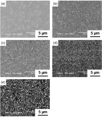 Fig. 4Eﬀect of exposure temperature after hydrogen charging (5000 A/m2 for 3 h) on HMT images exposed for 5 minutes at (a) 25�C,(b) 60�C, (c) 120�C, (d) 180�C and (e) 260�C in the matrix.