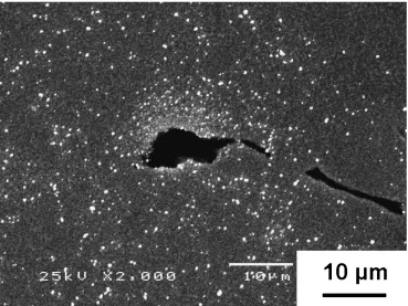 Fig. 7A HMT image of the specimen exposed at room temperature for 96 h, in which the strong hydrogen charging with a very highcurrent density of 1 � 105 A/m2 for 3 h was applied.
