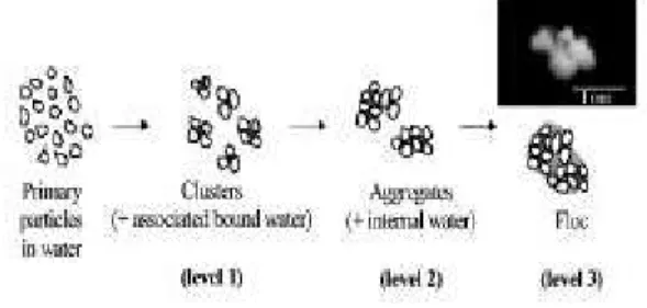 Fig. 4: The three basic units of flock structure