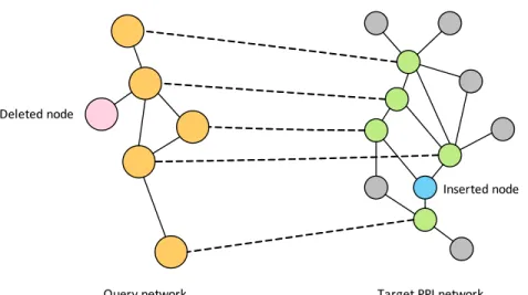 Figure 2.7: Illustration for the query network and conserved subnetwork in the target network