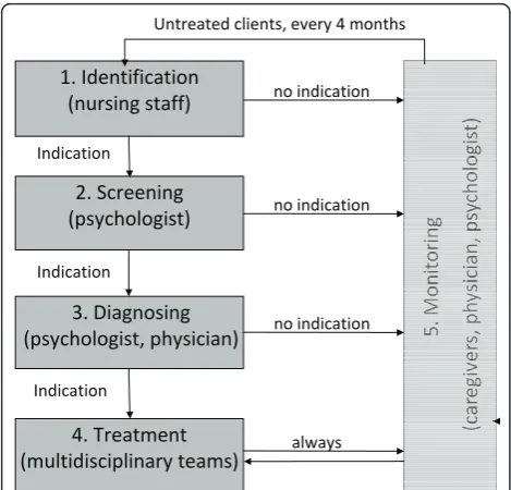 Figure 2 Graphical representation of the AID care program.