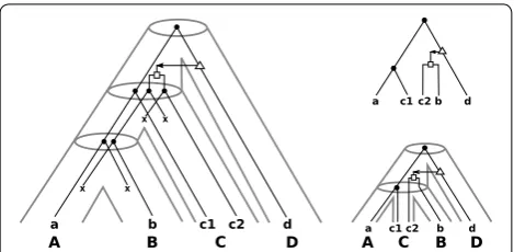 Fig. 2 (RSmore information about the resolution of the species tree can be Hence, we take we obtain the triples tree transfer edges
