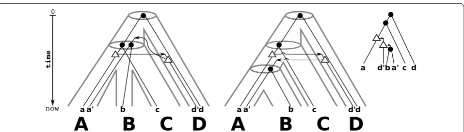 Fig. 3 Consider the “true” history (zobservable part of the true history. There is no reconciliation map for left) that is also shown in Fig