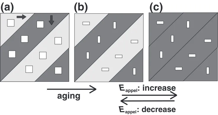 Fig. 1Schematic illustration explaining the mechanism of the reversible domain switching, which has been proposed by Ren.14) The lightand dark gray regions in (a) represent the ferroelectric domains having tetragonal crystal structure with deferent orienta