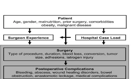 FIGURE 1- Various characteristics and the risk factors of the patient, 