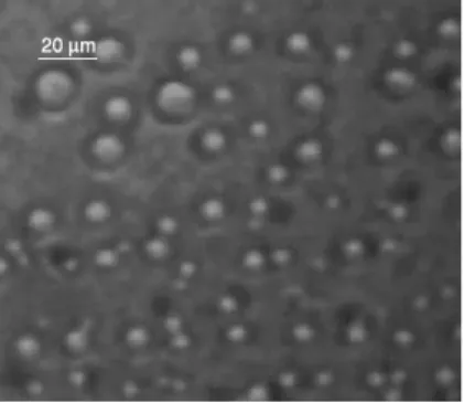 Fig. 1.2.2 Emulsion of paraffin-oil in water (source: P. Ghosh, Colloid and Interface  Science, PHI Learning, New Delhi, 2009; reproduced by permission)
