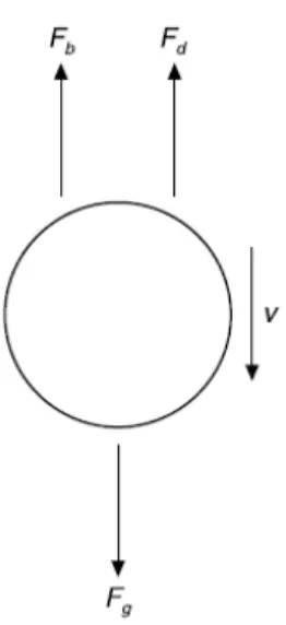 Fig. 1.2.3 Forces acting on a colloid particle falling downwards by gravity. 