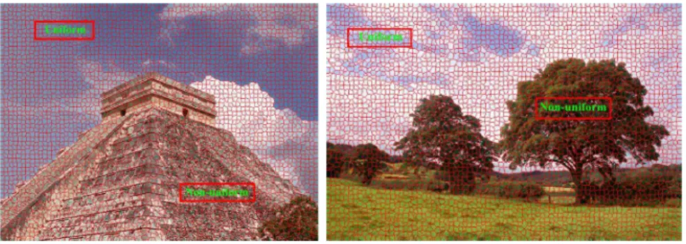 Figure 5: Examples of training samples from uniform and non-uniform regions.