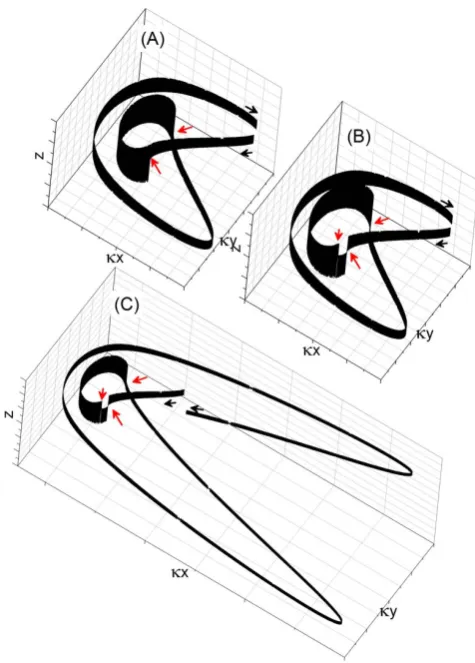 Fig. 11. Three realizations of particle trajectories starting from onepoint in the plane (κx,px).