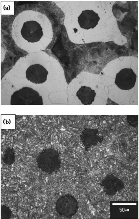 Fig. 1Optical micrographs of ductile cast iron (a) as cast and (b)austempering treated.