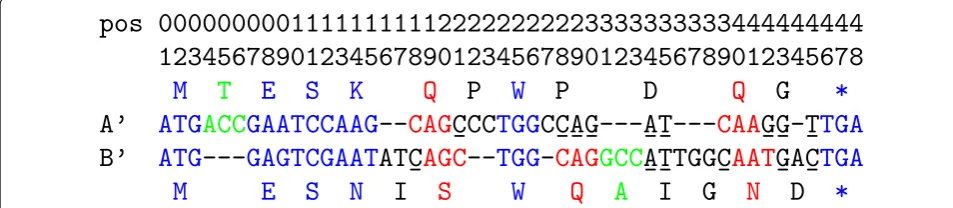 Fig. 2 An alignment secutive alignment columns. Codons of red color(A′, B′) of length 48 between two CDS, A (13 codons) and B (14 codons)