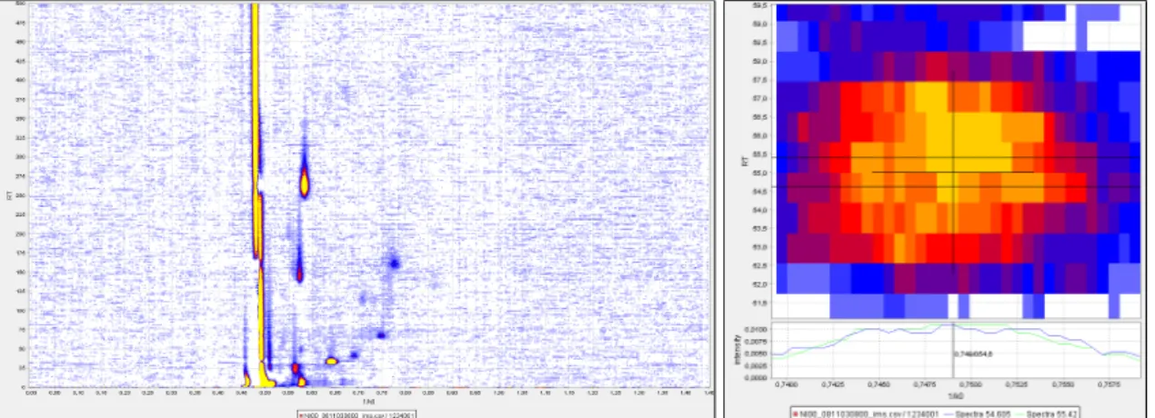 Figure 4.3.: Two heatmap images of a measurement with compensated RIP without applying any filter methods