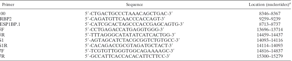 TABLE 1. Primers used for PCR and sequencing