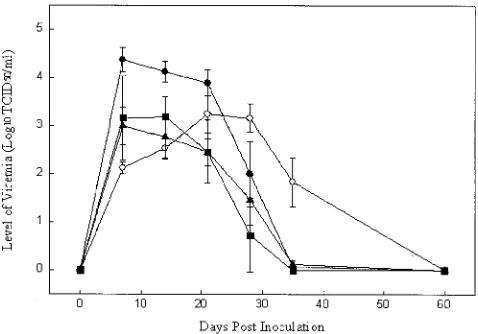 FIG. 3. Level and duration of viremia. Values represent means andstandard deviations in pigs (P1) inoculated with cell culture-derived