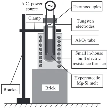 Fig. 2Observed area in the sample (unit: mm).