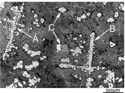 Fig. 3SEM image of the hypereutectic Mg-Si alloy without ACimposition.