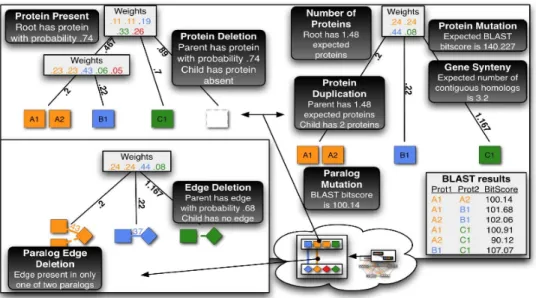 Figure 1.3 Original figure from Flannick et al. (56). This figure shows the set of evolutionary events that are computed by Graemlin’s node and edge feature functions