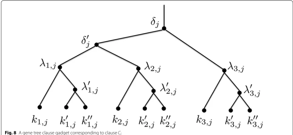 Fig. 9 The species tree