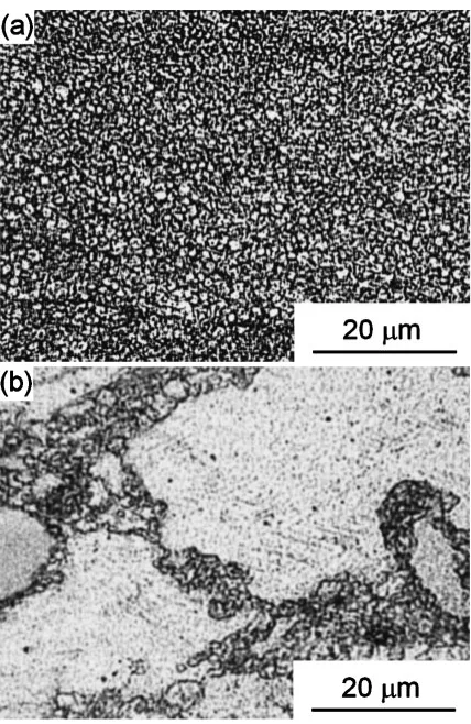 Fig. 5Grain structure of a ZK60 alloy processed by a single pass of ECAPin a die with 110� between the channels (a) from the extruded conditionand (b) from the annealed condition.50)