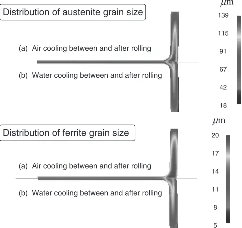 Fig. 4Austenite grain size distribution in rolled bar. Area reduction is 52% after four forming passes, and initial grain size is 80 mm.