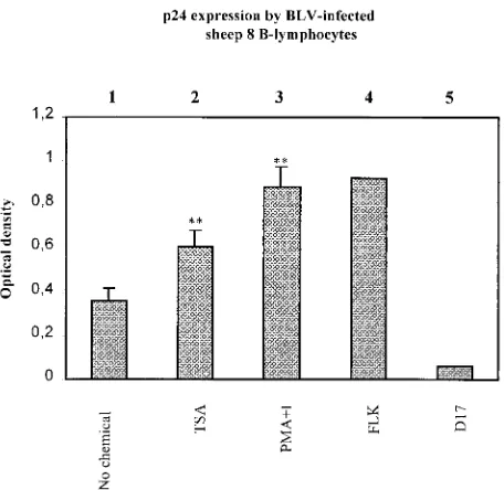 FIG. 5. Modulation of p24 expression in infected cows by TSA andTPX. PBMCs were isolated from the circulating blood of BLV-in-