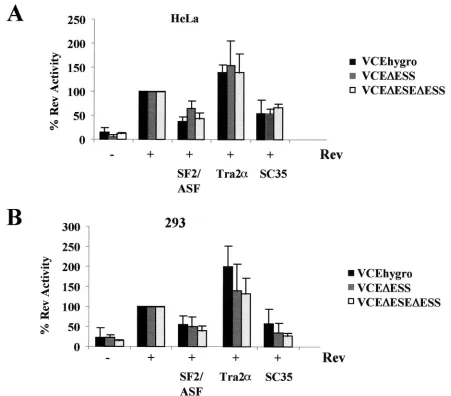 FIG. 7. Contribution of ESE and ESS to SR protein modulation of Rev function. HeLa or 293 cells were transfected with 0.5 �VCEpCMVmycSC35