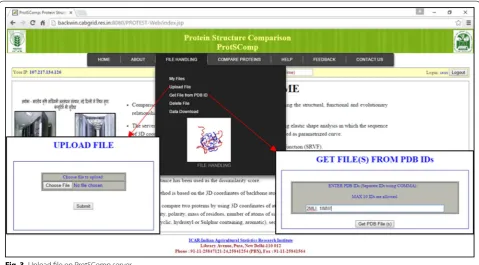 Fig. 3 Upload file on ProtSComp server