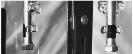 Fig. 6Synchronized bubble formation (Nn ¼ 3, dni ¼ 3:0 mm, Qg ¼40 cm3/s).