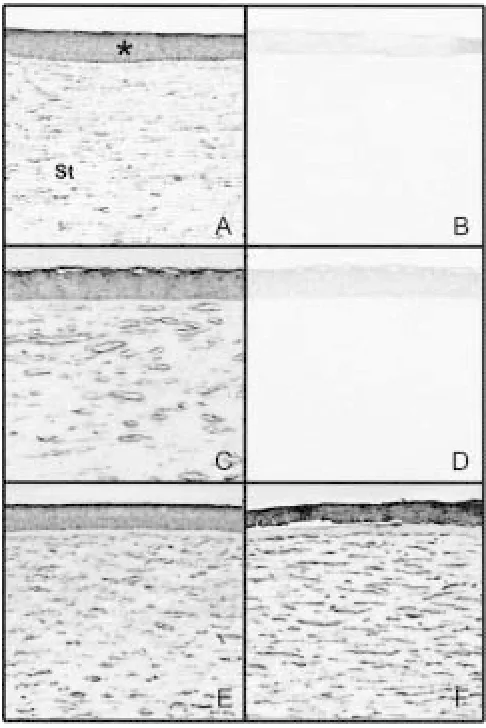 Fig. 1.A representative differential screening dot blot ofpleted on clones isolated from subtractive hybridization experi-ments
