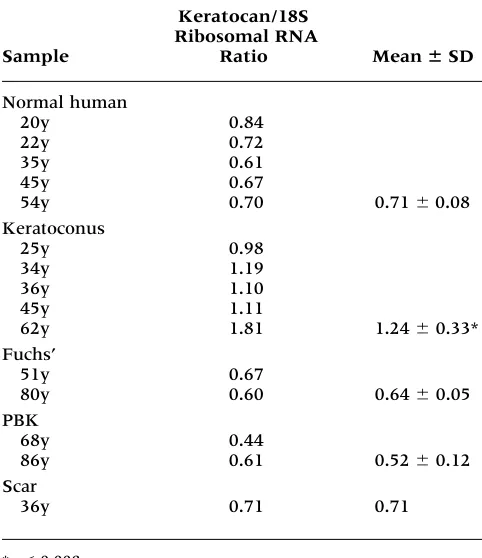 Fig. 5.Relative quantitative RT-PCR of keratocan. TotalRNA samples were from 20-, 22-, 35-, 45-, and 54-year-old nor-mal human (NH) donors, 25-, 34-, 36-, 45-, and 62-year-old pa-tients with keratoconus (KC), 51- and 80-year-old patients withFuchs’ corneal