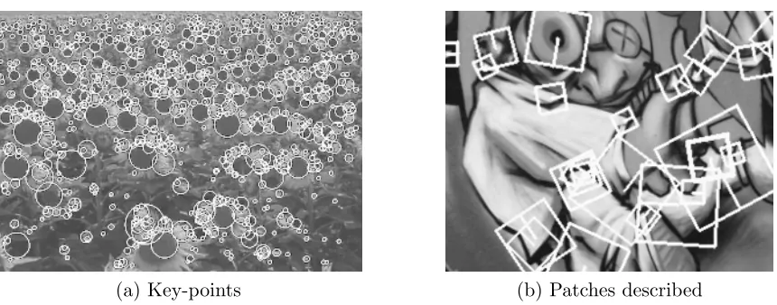 Figure 2.3: Example of SURF local descriptors (Extracted from original paper [10]). (a) Key-pointsselected for a sunﬂower ﬁeld (b) Size and and rotation of descriptor patches on graﬃti scene.