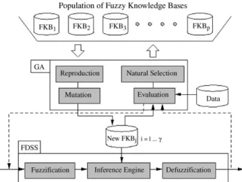 Fig. 3. Fuzzy set.