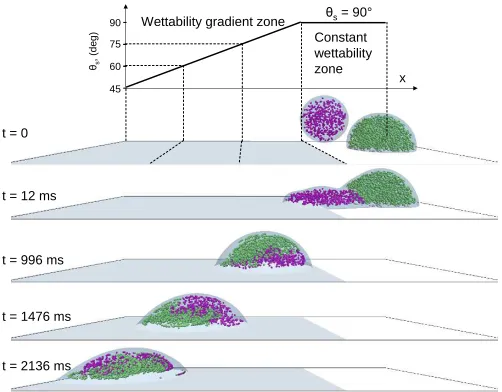 FIG. 11: (Colour online) Mixing within a composite dropletmoving on a substrate with a wettability gradient