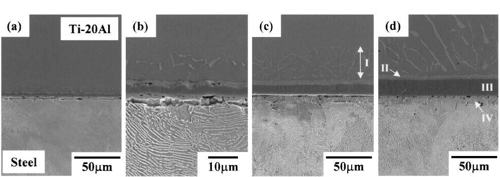 Fig. 2SEM micrographs of the interface in Ti-20Al alloy/high carbon steel joint bonded at 1173 K for 3.6 ks