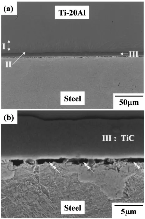 Fig. 10(a) SEM micrograph of the interface in Ti-20Al alloy/high carbonsteel joint after quenching into the water from 1273 K