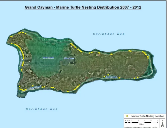 Figure 1: Turtle Nesting Locations on Grand Cayman (Source: DoE, 2012) 