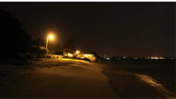 Figure 2: Example of artificial lighting on a beach in Grand Cayman (Source: Mark Orr)                                                             