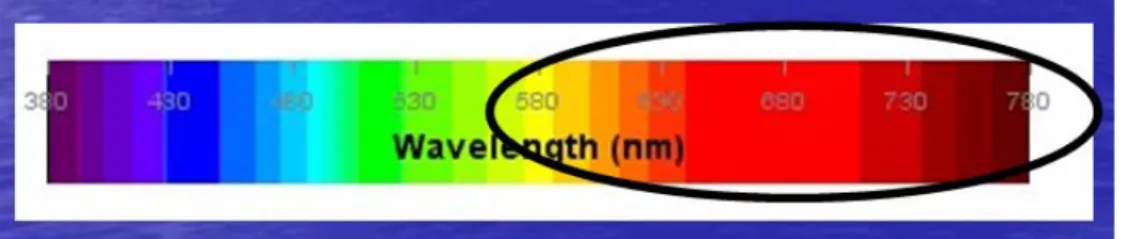 Figure 5: Wavelengths that turtles are least attracted to 