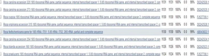 Figure 14: The result of comparing the sequeneed sequence of briar to the sequences from NCBI database of GeneBank using BLAST